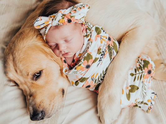 How to Train a New Puppy to Get Along with Babies