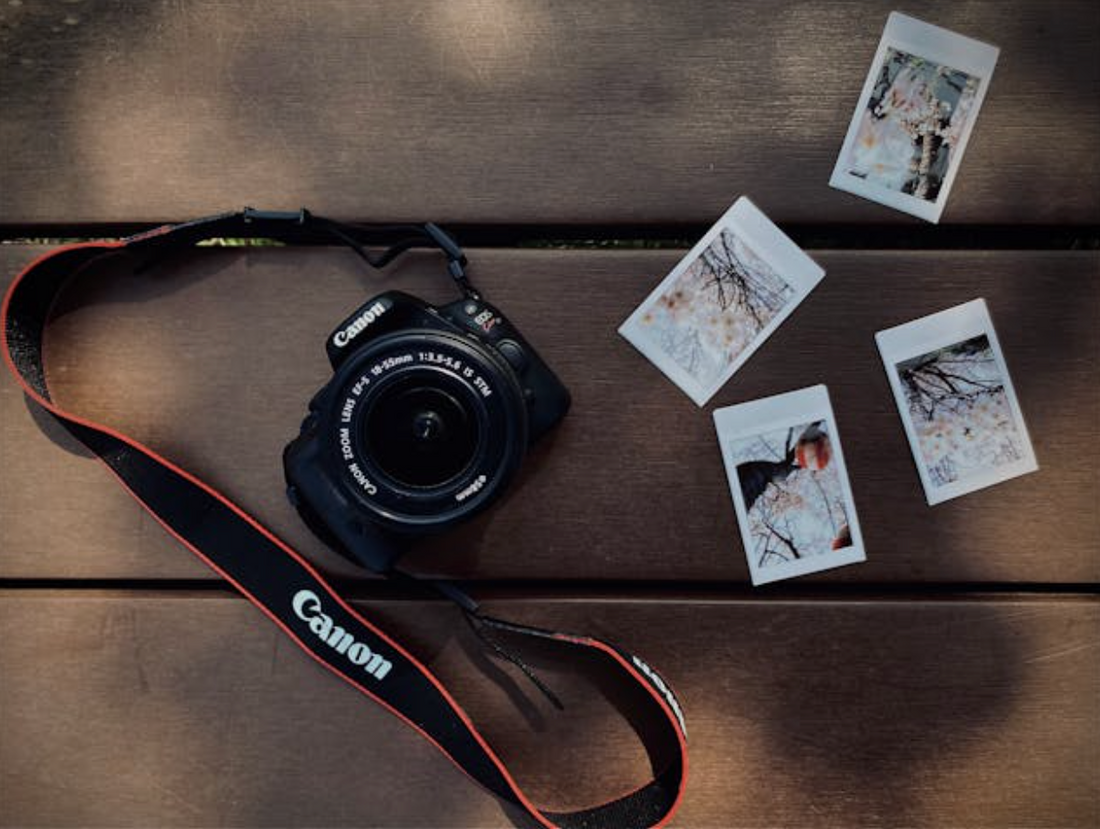 Creating a Family Photo Album? Don't Forget the Free Image Sizer