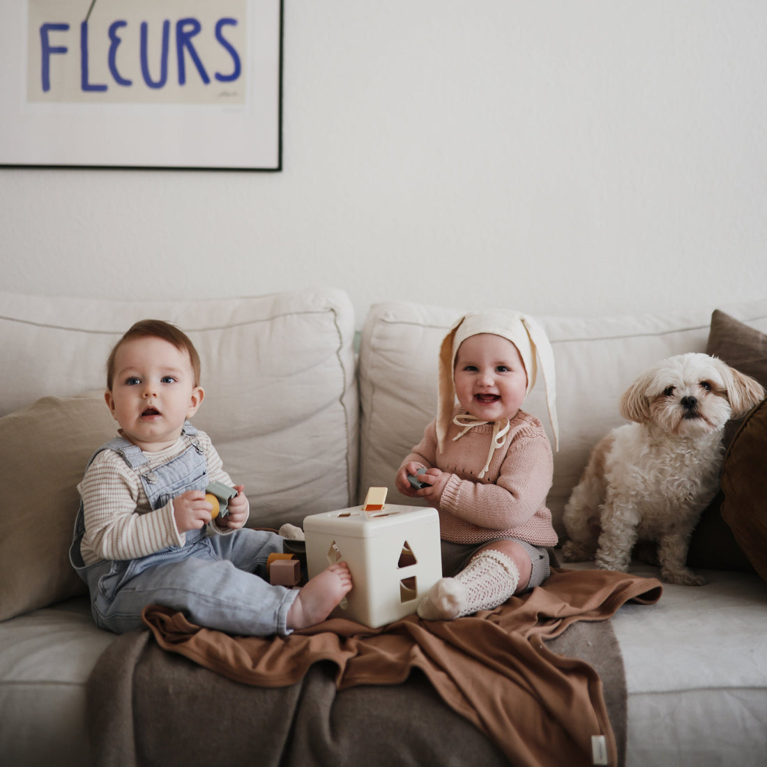 Building a Positive Relationship Between Your Dog and Baby