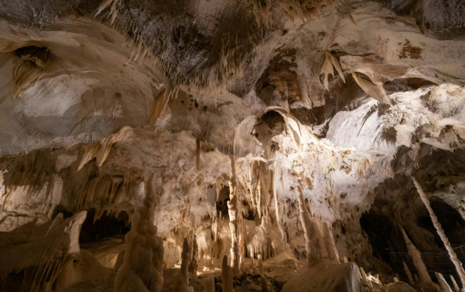 The Ultimate Guide to Exploring Forbidden Caverns in Sevierville, TN
