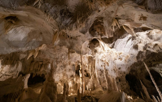 The Ultimate Guide to Exploring Forbidden Caverns in Sevierville, TN