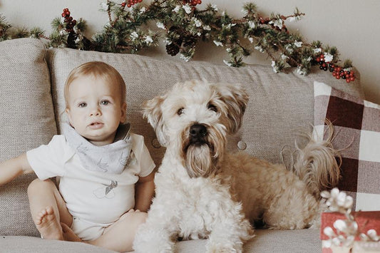 happy, cozy holidays!