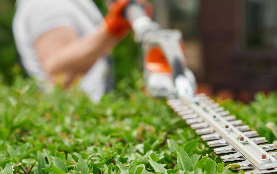 What Does a Landscaping Quote Really Include