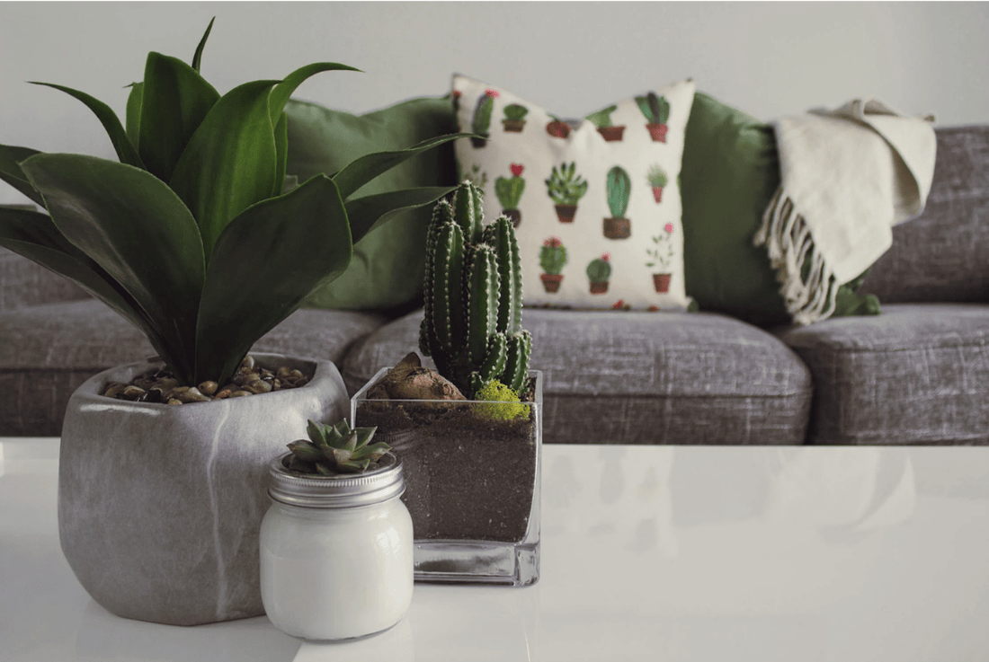How to Spot High-Value Pieces Hiding in Plain Sight