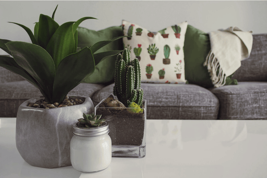 How to Spot High-Value Pieces Hiding in Plain Sight