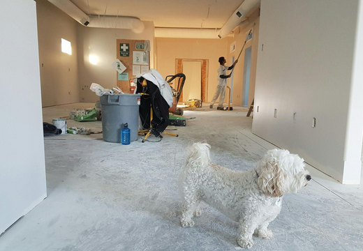 Planning a Home Makeover? Here’s What You Need to Know