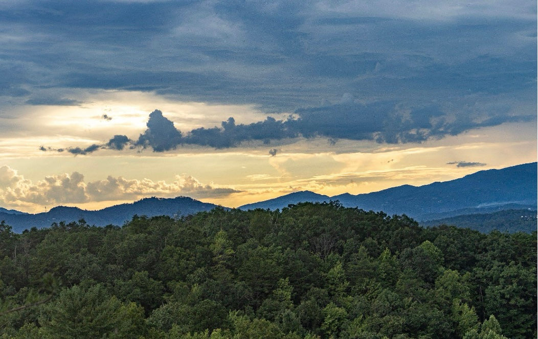 The Ultimate Family Bucket List for Your Smoky Mountains Trip