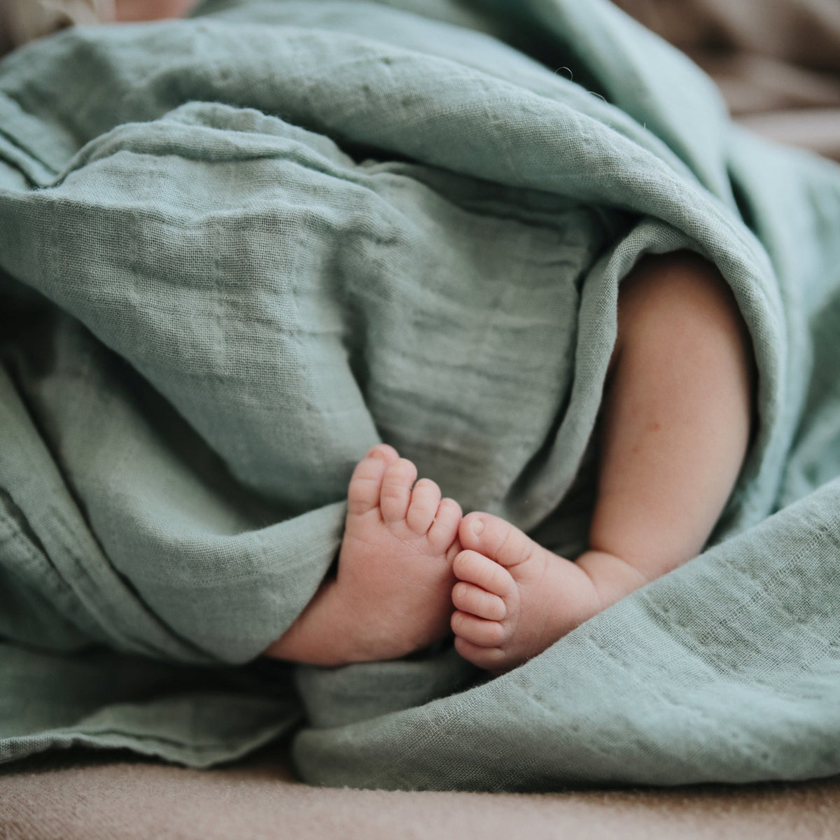 Baby Organic Cotton Muslin Swaddle Blanket Mushie