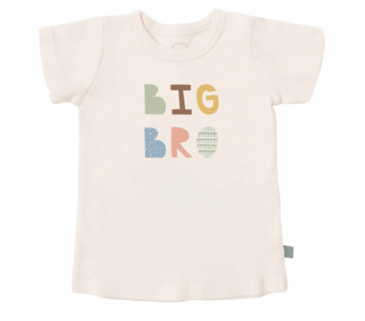 Baby graphic tee | big bro desert bloom finn + emma
