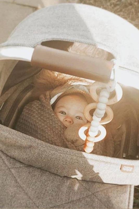 Baby Car Seat Toy - May littleCHEW